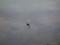 DSC01001
