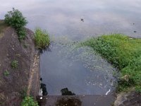 DSC01002