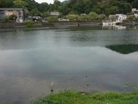 DSC01017