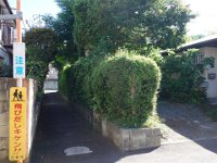 DSC01076