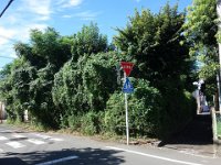 DSC01079