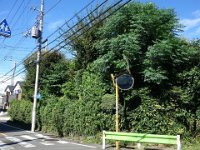 DSC01080