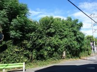 DSC01081