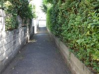 DSC01084