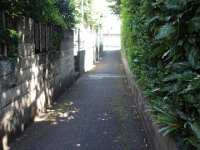 DSC01085