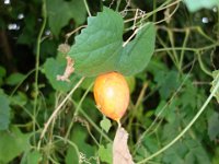 DSC01096