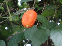 DSC01099