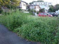 DSC01119