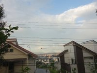DSC01137