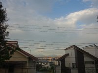 DSC01141