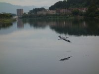 DSC01285
