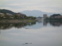 DSC01288