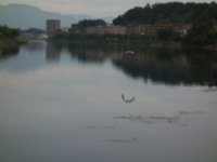 DSC01289