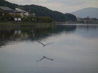 DSC01291