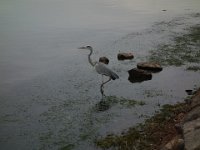 DSC01295