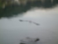DSC01299