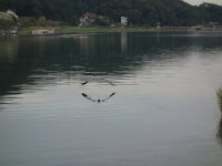 DSC01300