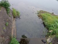 DSC01302