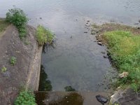 DSC01374