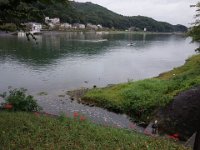 DSC01387