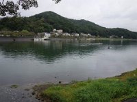 DSC01388