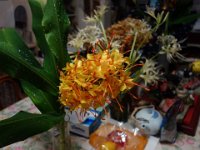 DSC01392