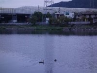 DSC01400