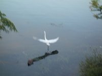 DSC01421