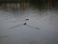 DSC01454