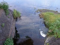 DSC01494