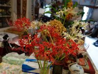 DSC01497