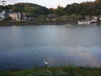DSC01501