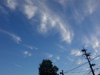 DSC01508