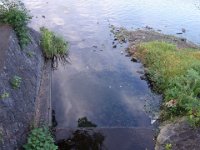DSC01515