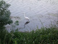DSC01520
