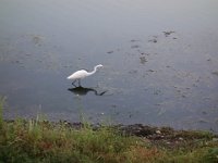 DSC01645
