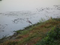 DSC01646