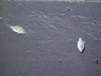DSC01656