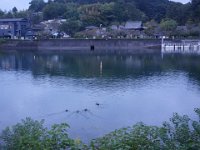 DSC01724