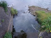 DSC01735
