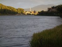 DSC01771