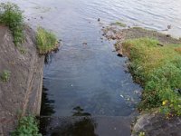 DSC01775