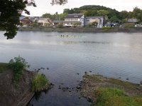 DSC01794