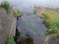 DSC01807