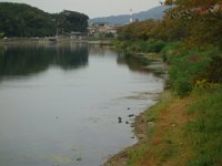 DSC01809