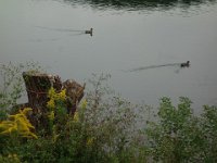 DSC01812