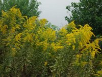 DSC01815