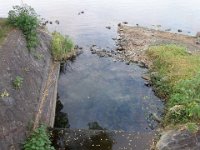 DSC01851