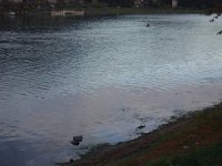 DSC01865