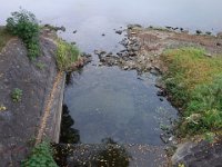 DSC01894